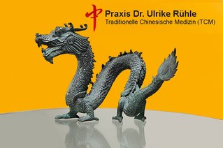 Bild eines chinesischen Drachen mit Firmenlogo